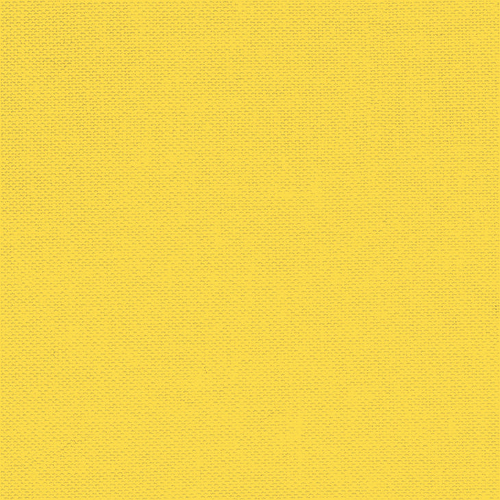 Devonstone Fabrics - DC Solids Sunny Side Up