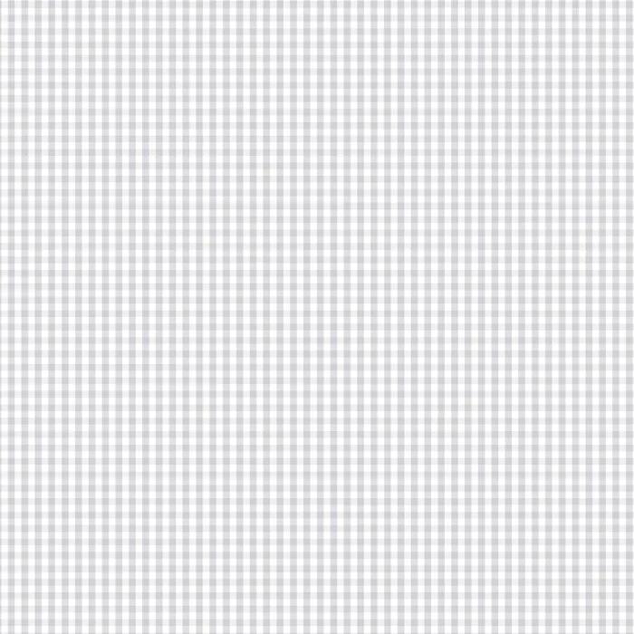 Devonstone - Fundamentals 1/8-inch check in silver gum