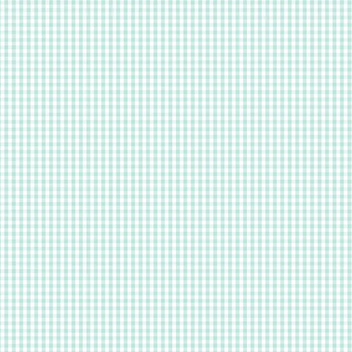 Devonstone - Fundamentals 1/8-inch check in seafoam