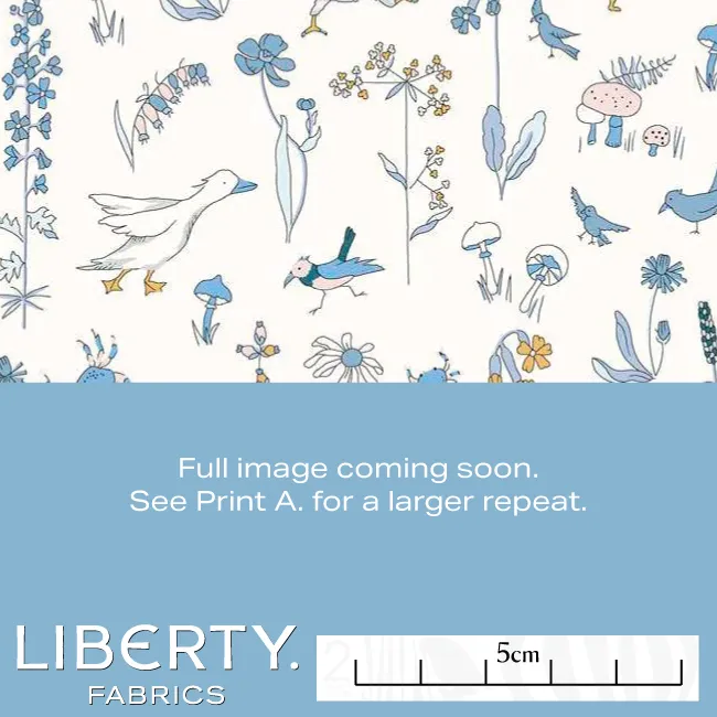 Liberty Tana Lawn -Theo F-CC