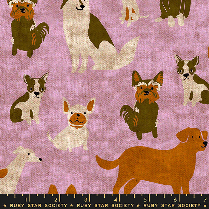 Ruby Star Society - Dog Park - Dog Medley Canvas in macaron