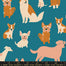 Ruby Star Society - Dog Park - Dog Medley Canvas in chambray