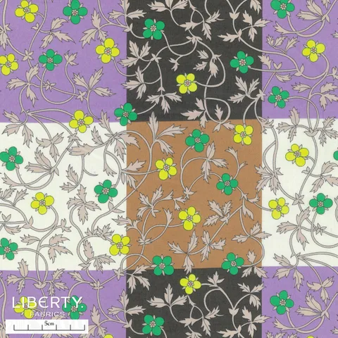 Liberty Retold 25- Rosita's Check A