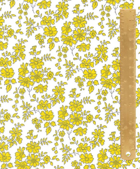 Liberty Tana Lawn - Capel X