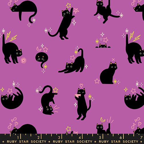 Freaky Familiars - Catwalk - Witchy