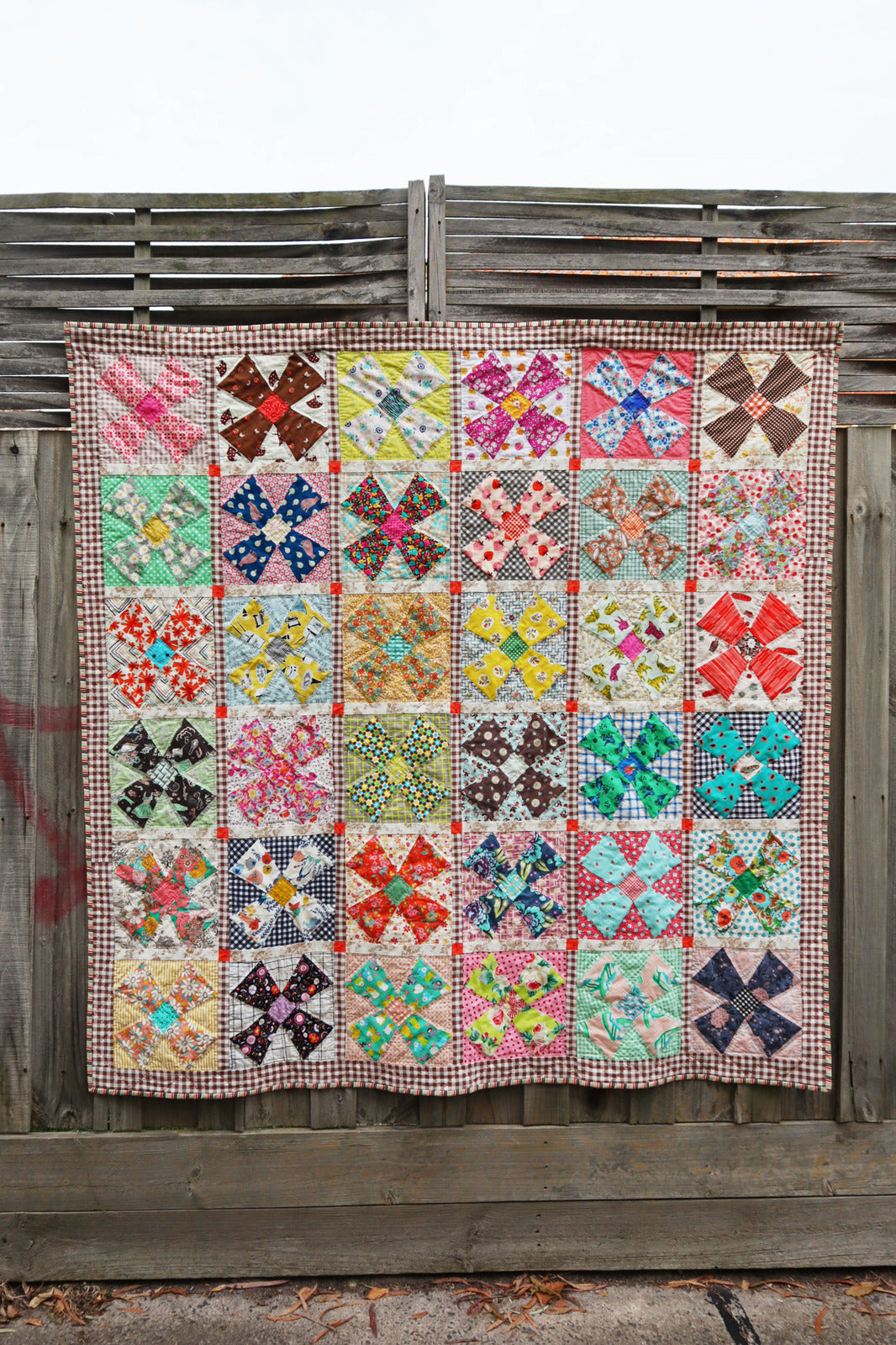 Lamingtons for Tea - starter pack