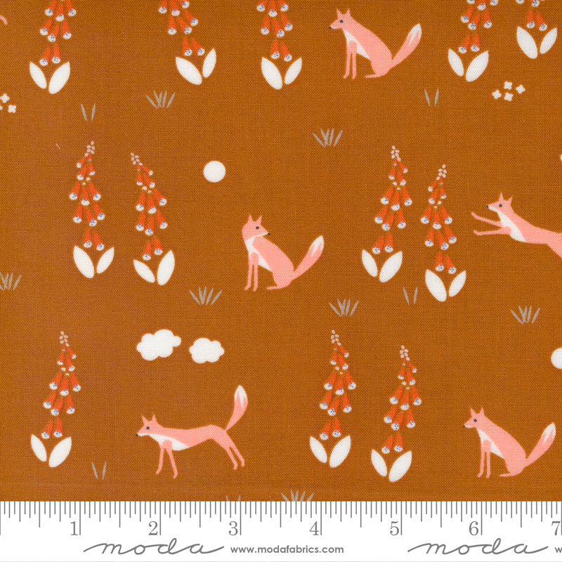 Meander - Aneela Hoey - Foxes in Saddle