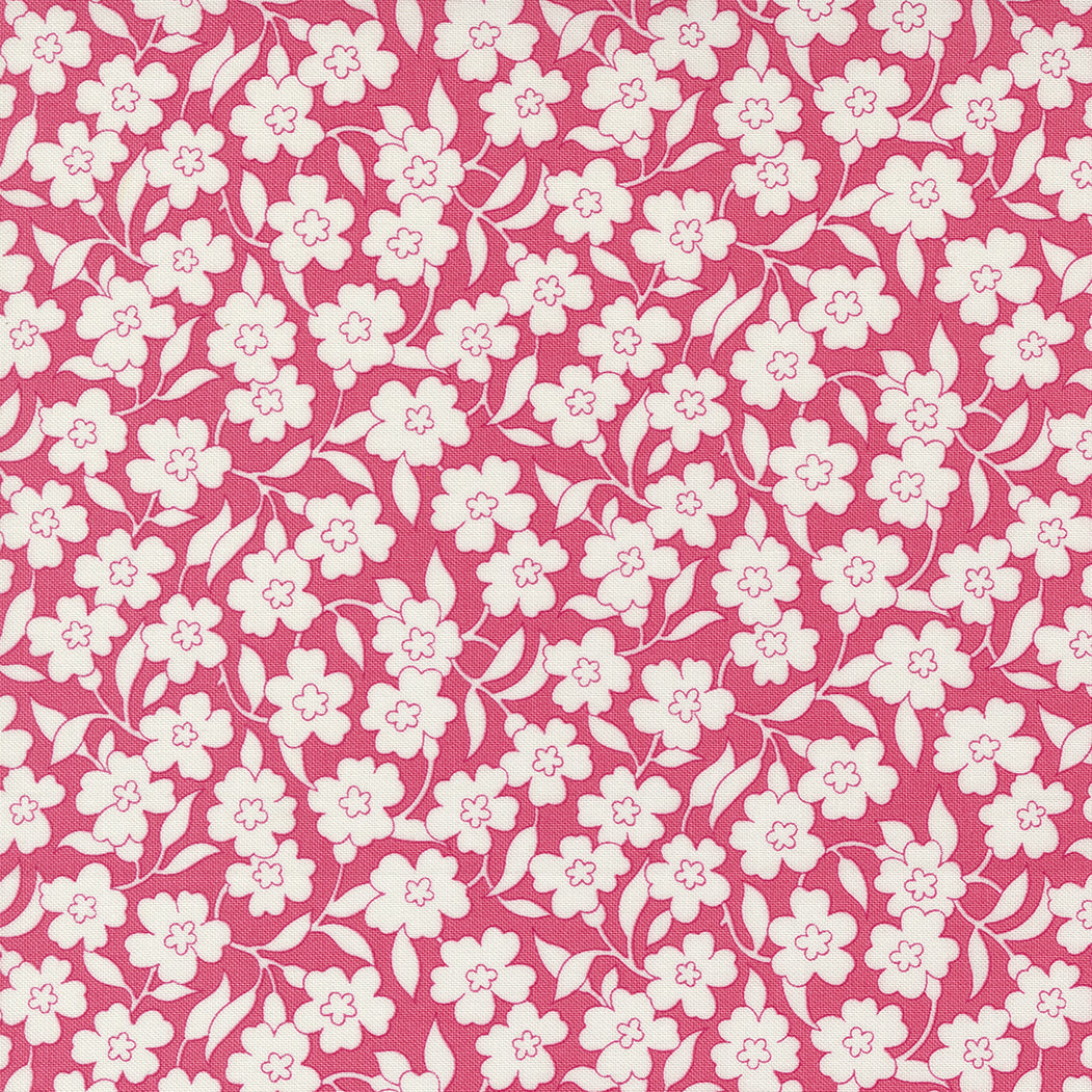 Flower Power - Primrose on dark pink