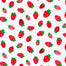 Ann Kelle - Farm to Table - Strawberries on White